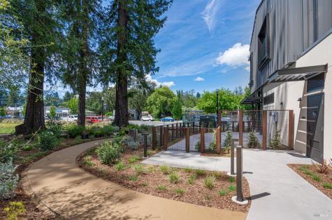 164 Healdsburg Avenue Healdsburg CA 95448