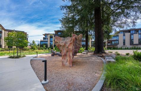 164 Healdsburg Avenue Healdsburg CA 95448