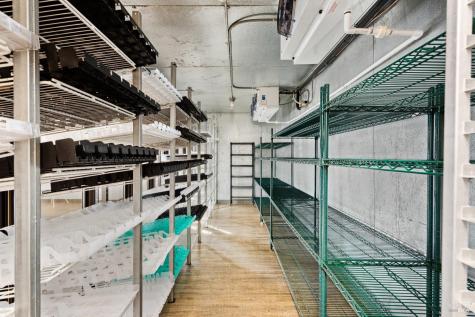 557 Powell Avenue Healdsburg CA 95448