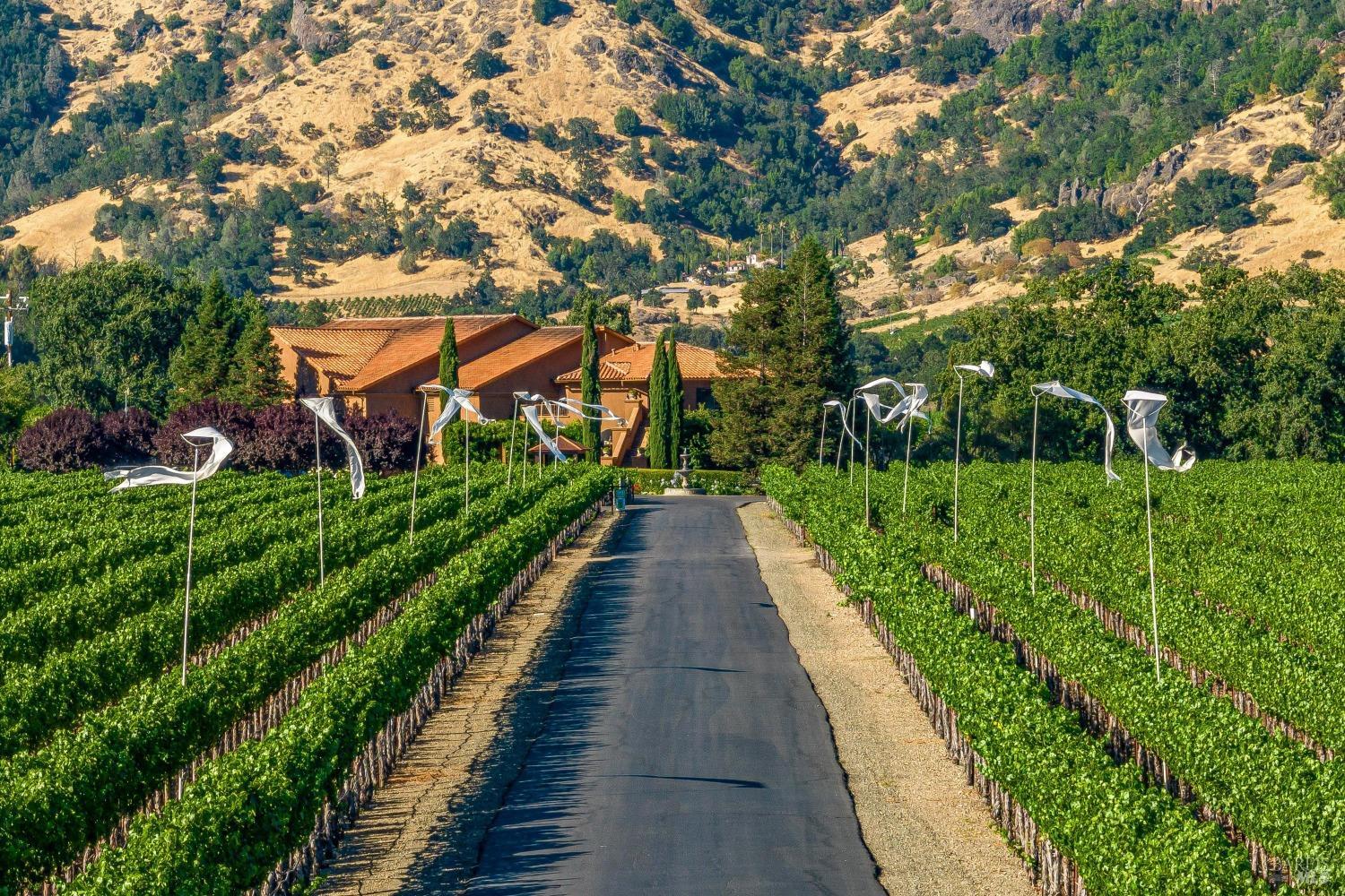 3340 Highway 128 Calistoga CA 94515