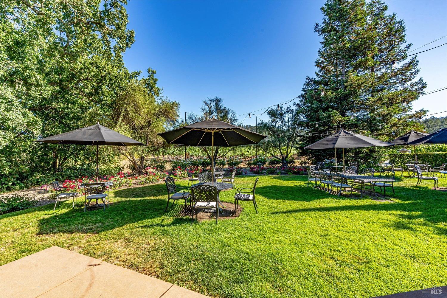 3340 Highway 128 Calistoga CA 94515