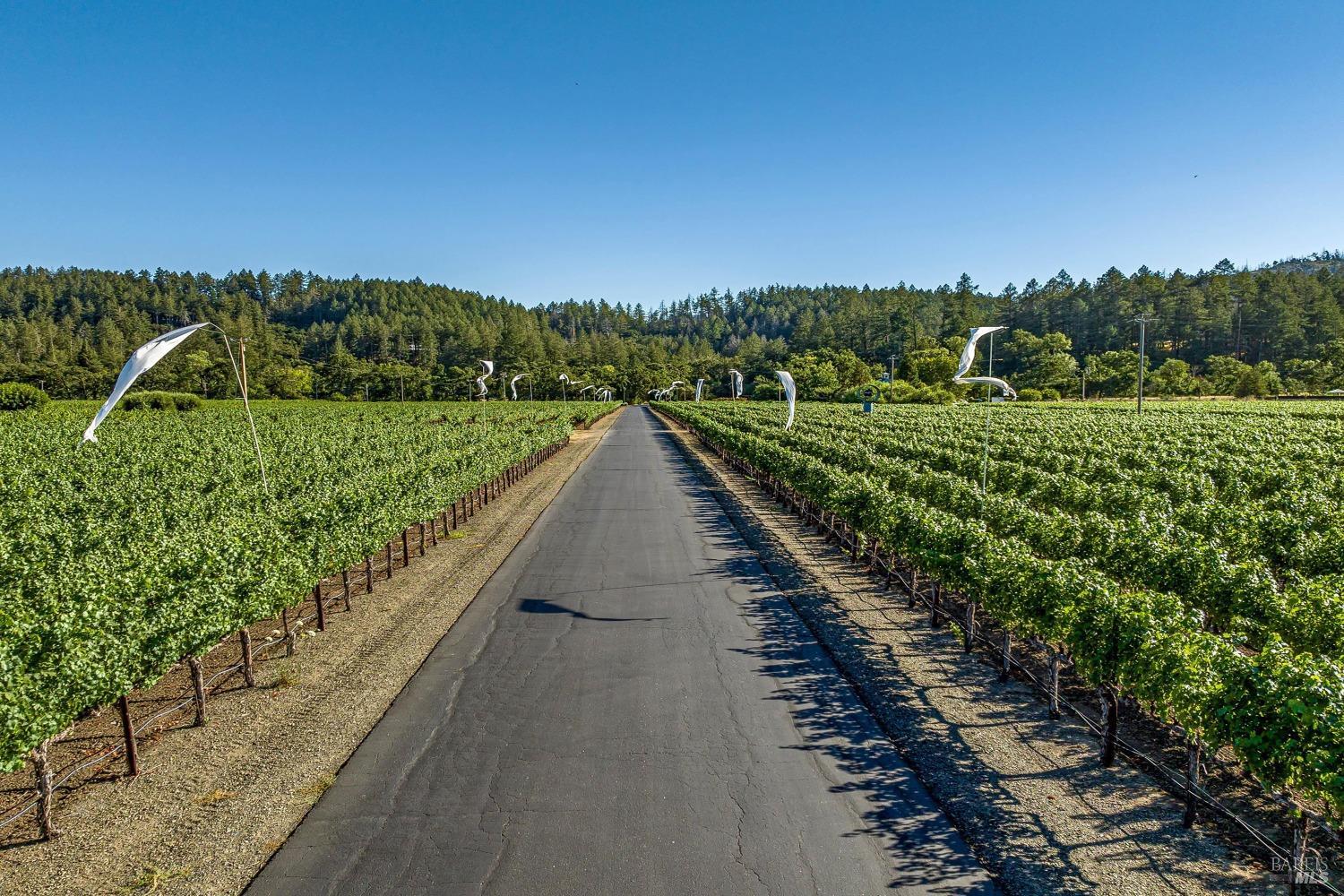 3340 Highway 128 Calistoga CA 94515