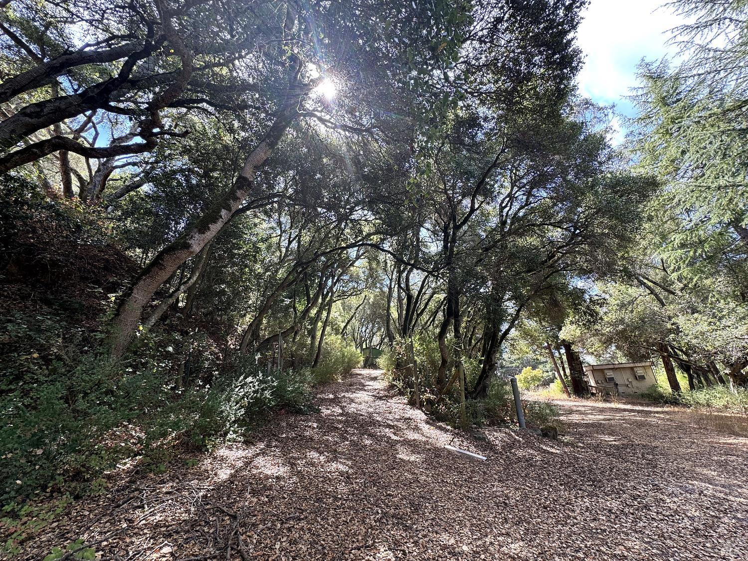 6675 Petersen Road Petaluma CA 94952