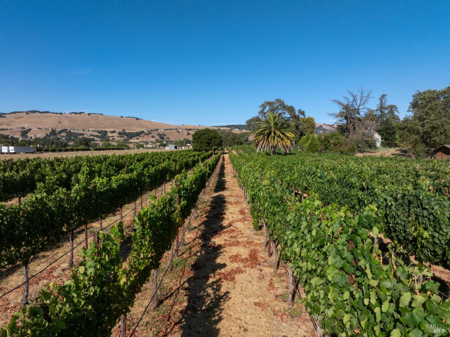 2143 Buena Vista Avenue Gilroy CA 95020