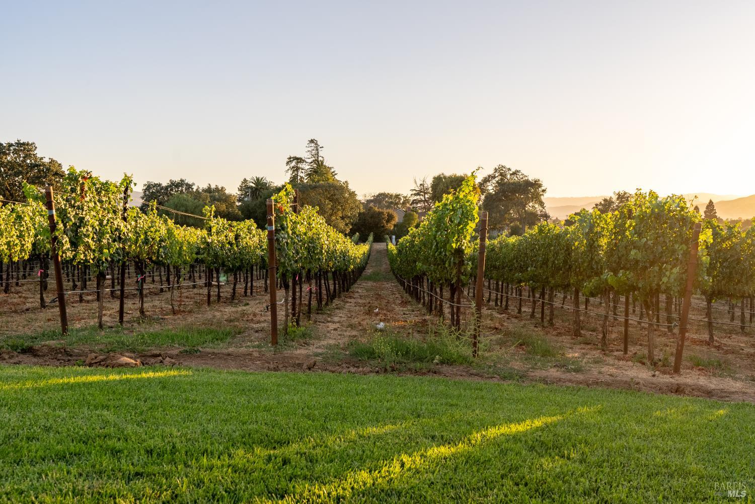 2143 Buena Vista Avenue Gilroy CA 95020
