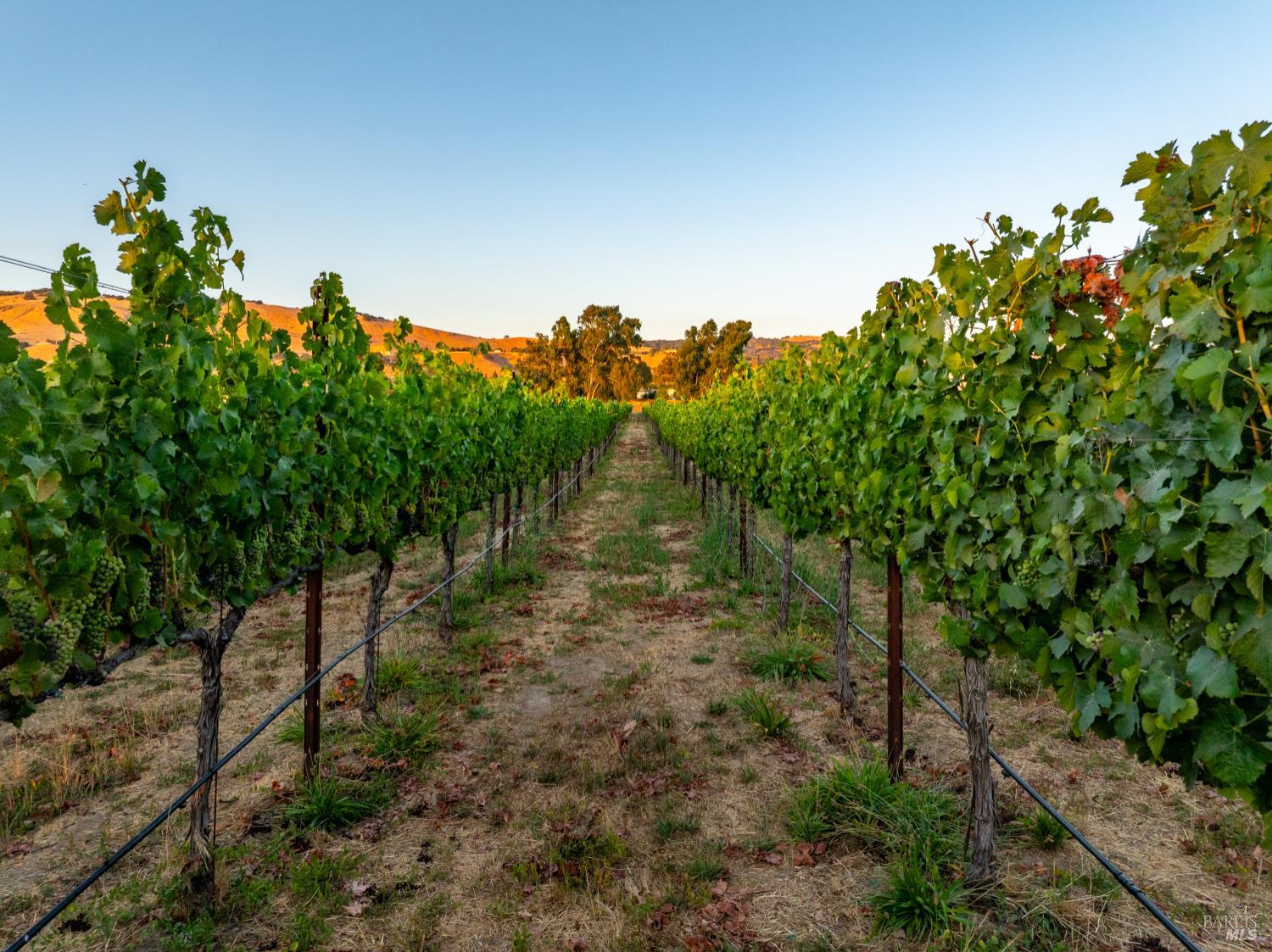 2143 Buena Vista Avenue Gilroy CA 95020