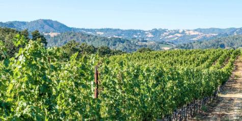 5566 Highway 128 Highway Geyserville CA 95441