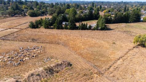 3790 Hwy 116 S Highway S Sebastopol CA 95472