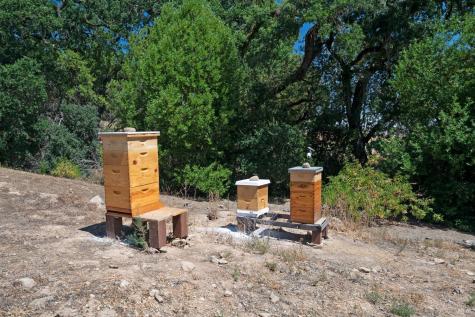 125 Cristo Lane Santa Rosa CA 95409