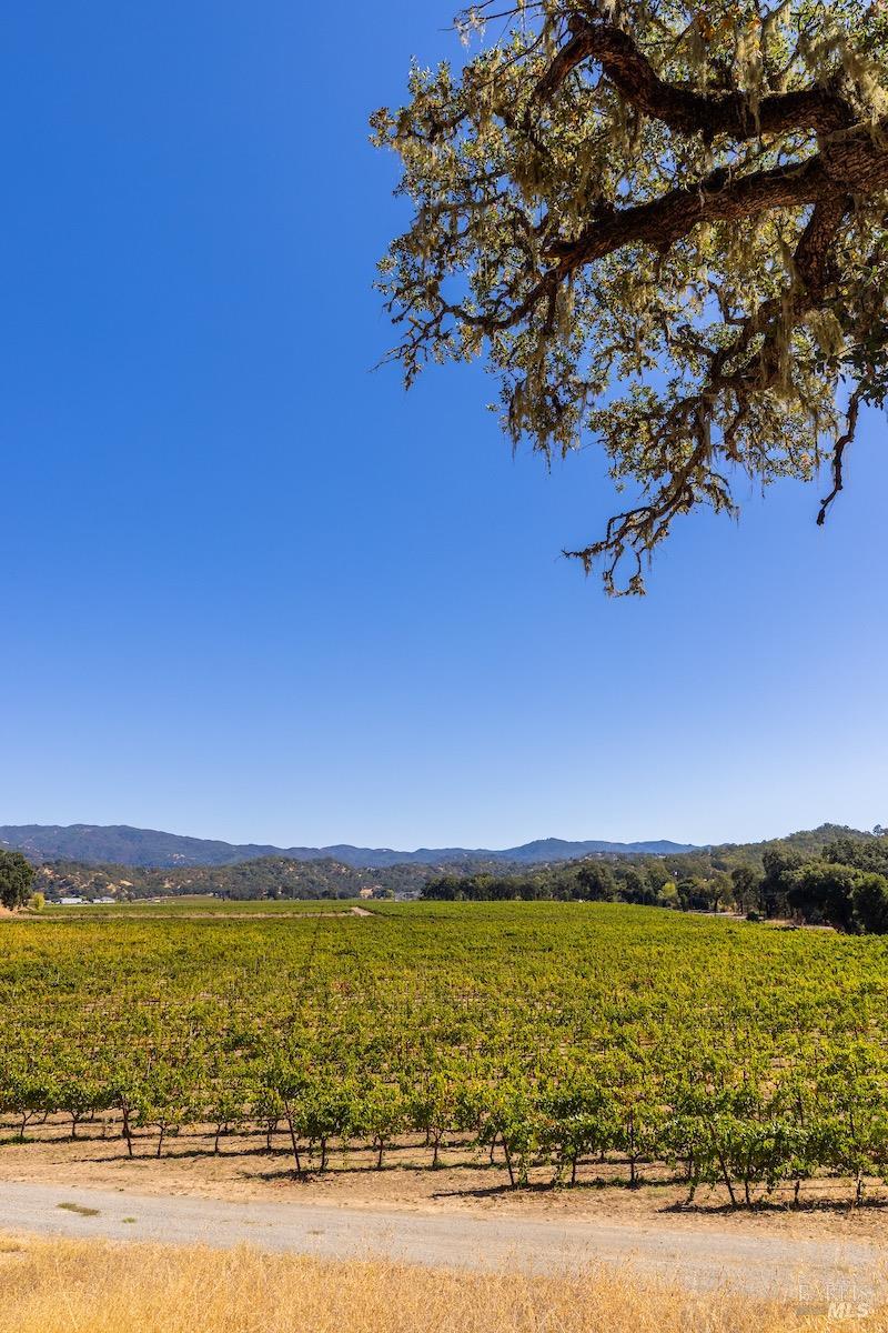 2300 Highway 175 Hopland CA 95449