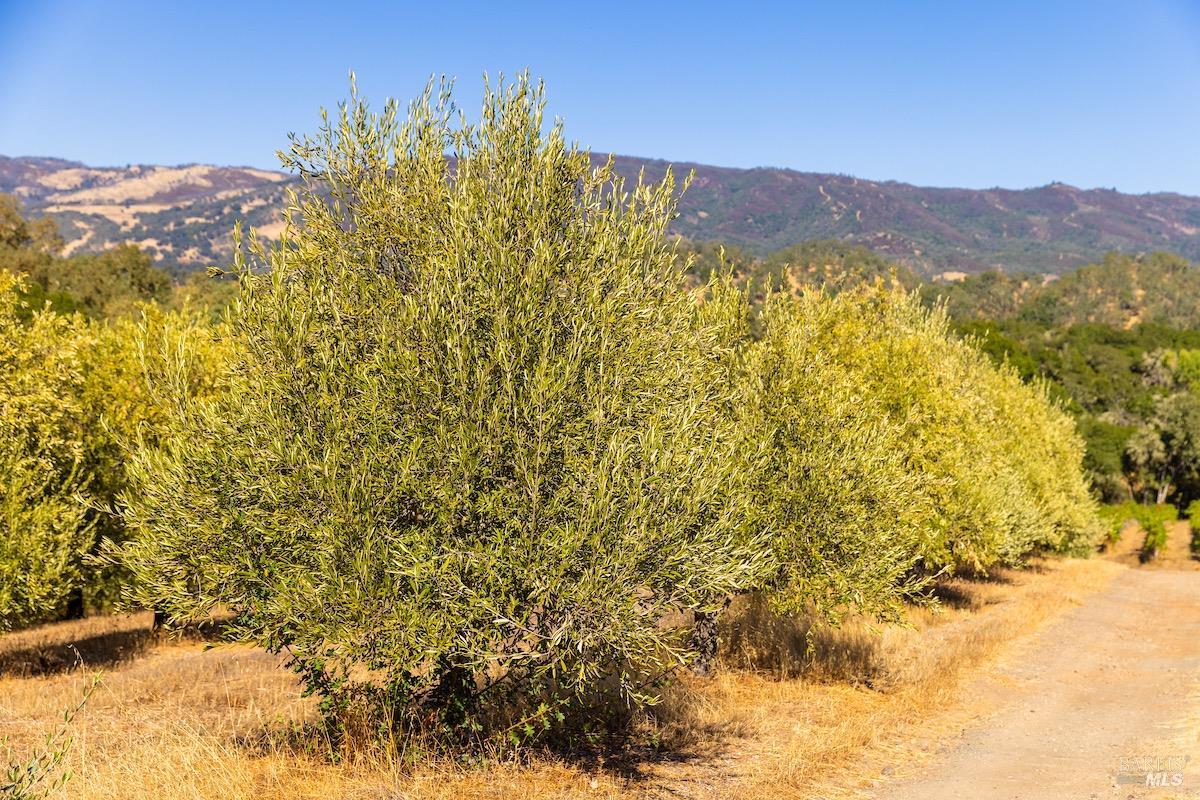 2300 Highway 175 Hopland CA 95449