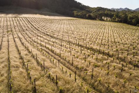 13414 Chalk Hill Road Healdsburg CA 95448