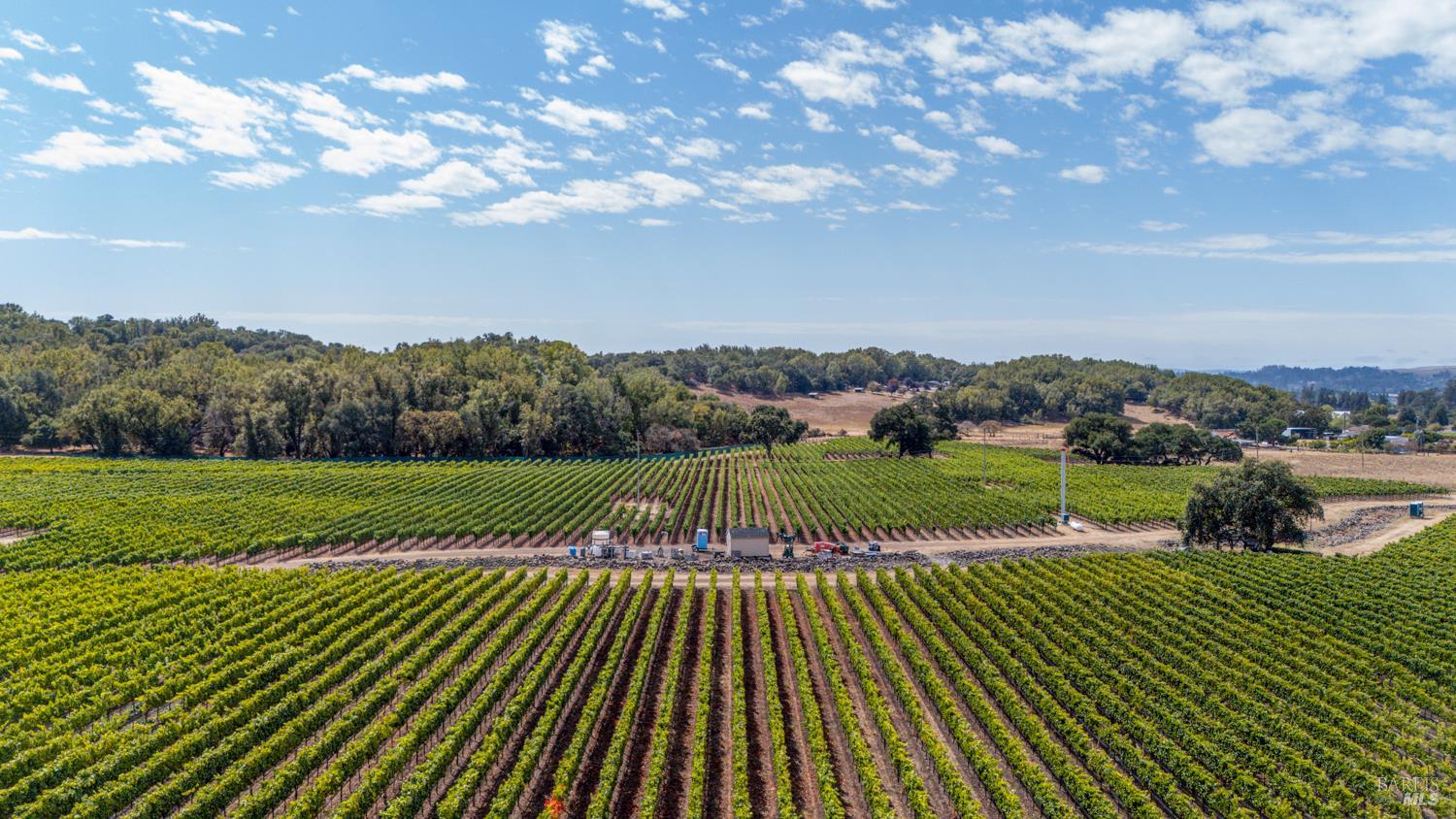 3340 Lichau Road Penngrove CA 94951