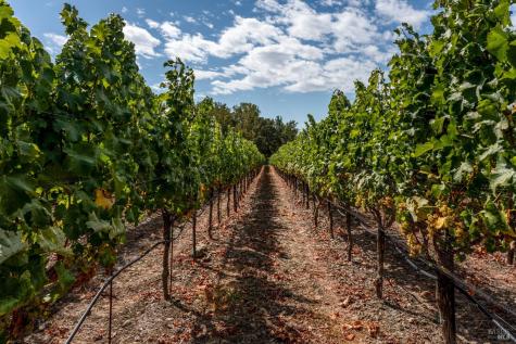 3340 Lichau Road Penngrove CA 94951