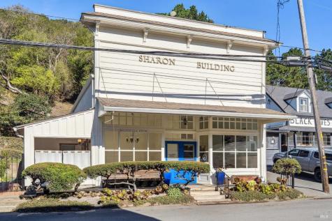 3 Wharf Road Bolinas CA 94924