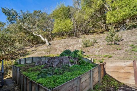 3 Wharf Road Bolinas CA 94924