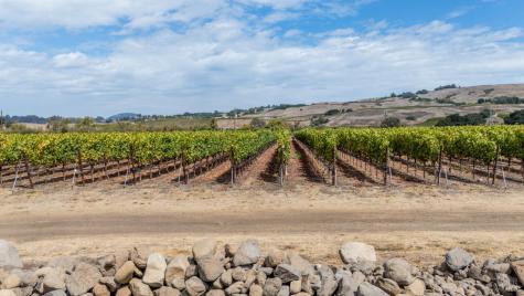 3340 Lichau Road Penngrove CA 94951