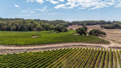 3340 Lichau Road Penngrove CA 94951