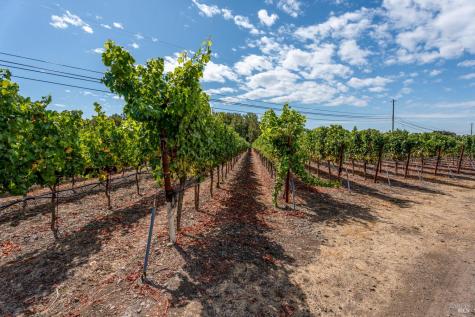 3340 Lichau Road Penngrove CA 94951