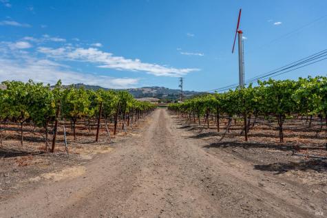 3340 Lichau Road Penngrove CA 94951