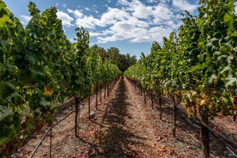 3340 Lichau Road Penngrove CA 94951