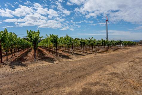 3340 Lichau Road Penngrove CA 94951