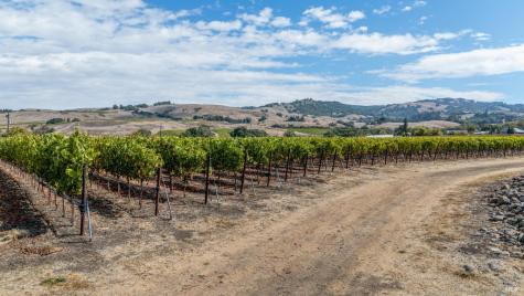 3340 Lichau Road Penngrove CA 94951