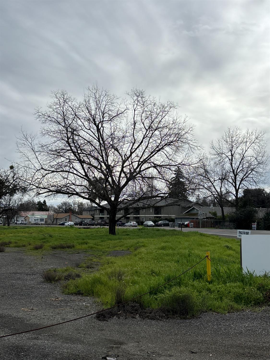 26436 Woodland Avenue Esparto CA 95627