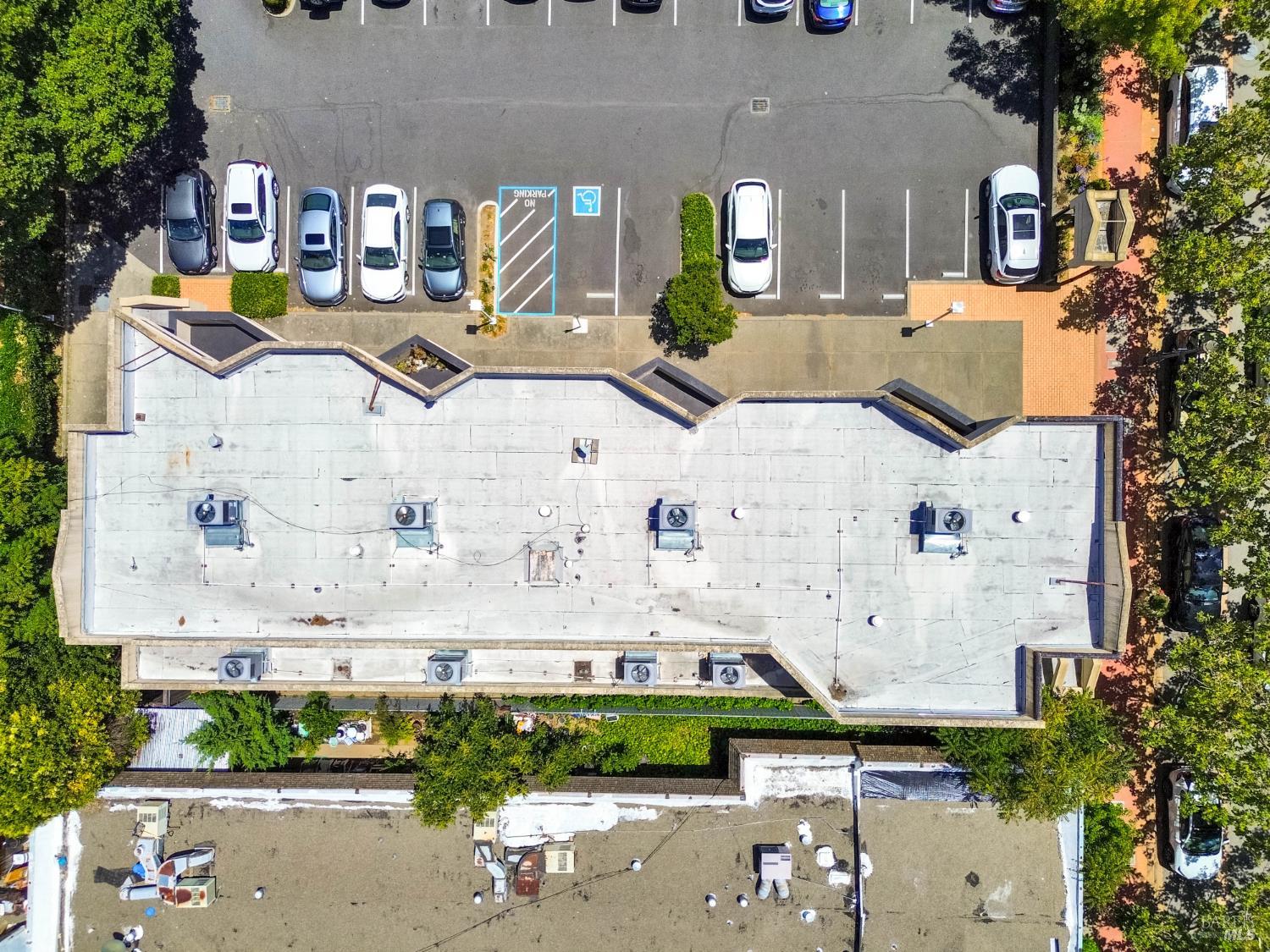 1304 Grant Avenue Novato CA 94945