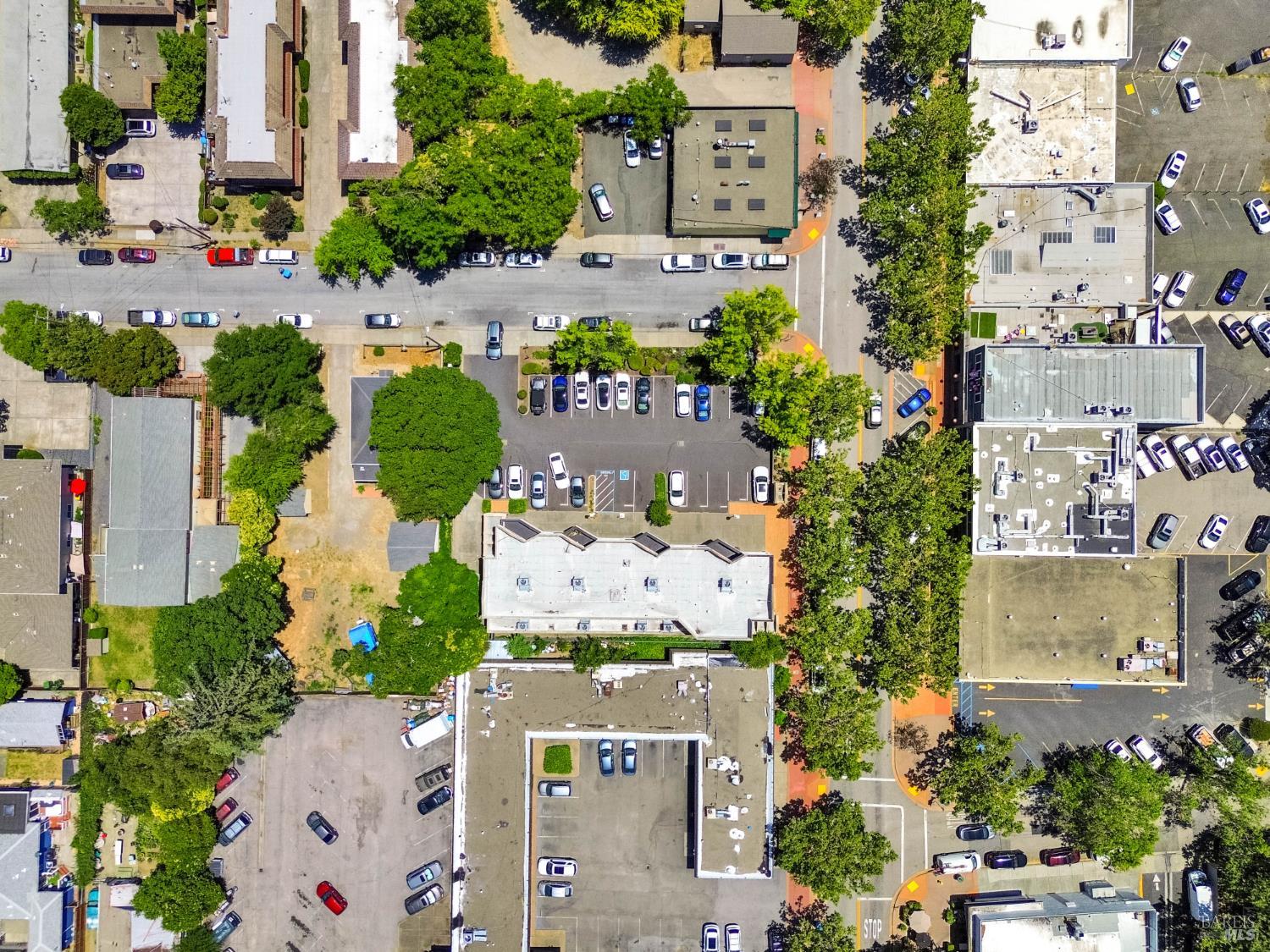 1304 Grant Avenue Novato CA 94945