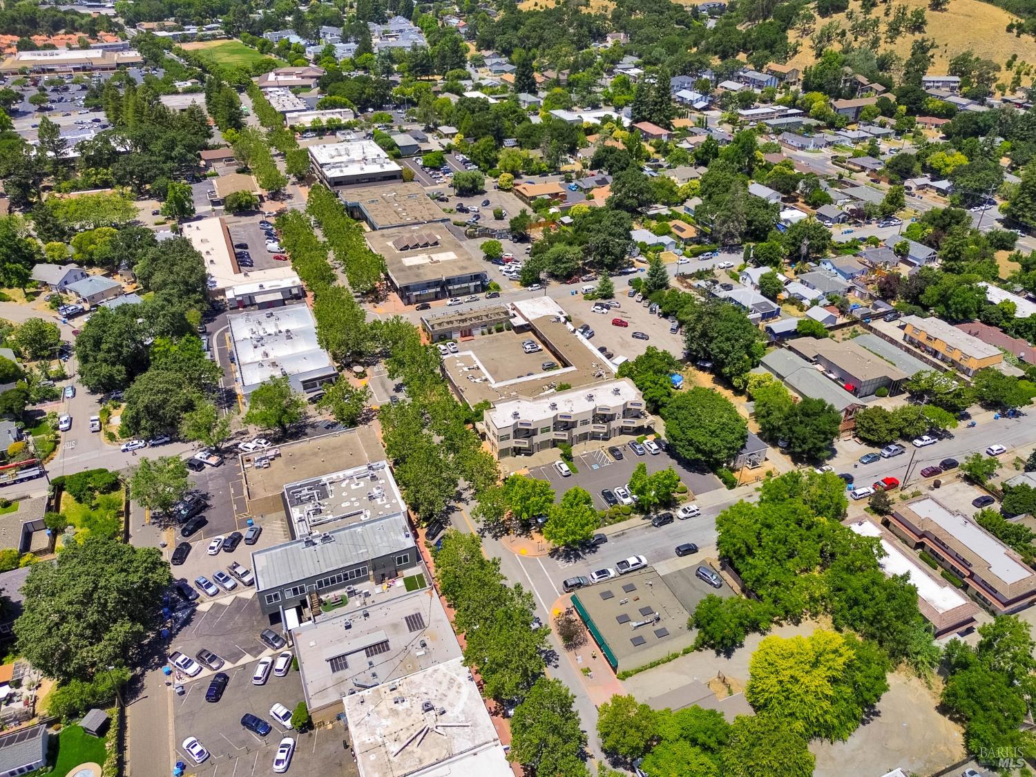 1304 Grant Avenue Novato CA 94945