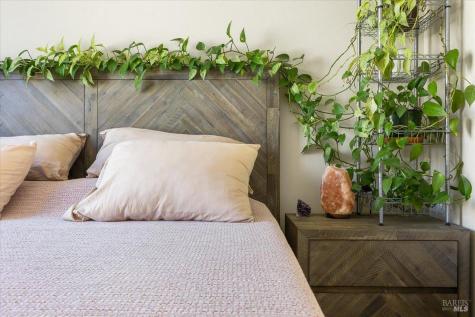 310 City Center Drive Rohnert Park CA 94928