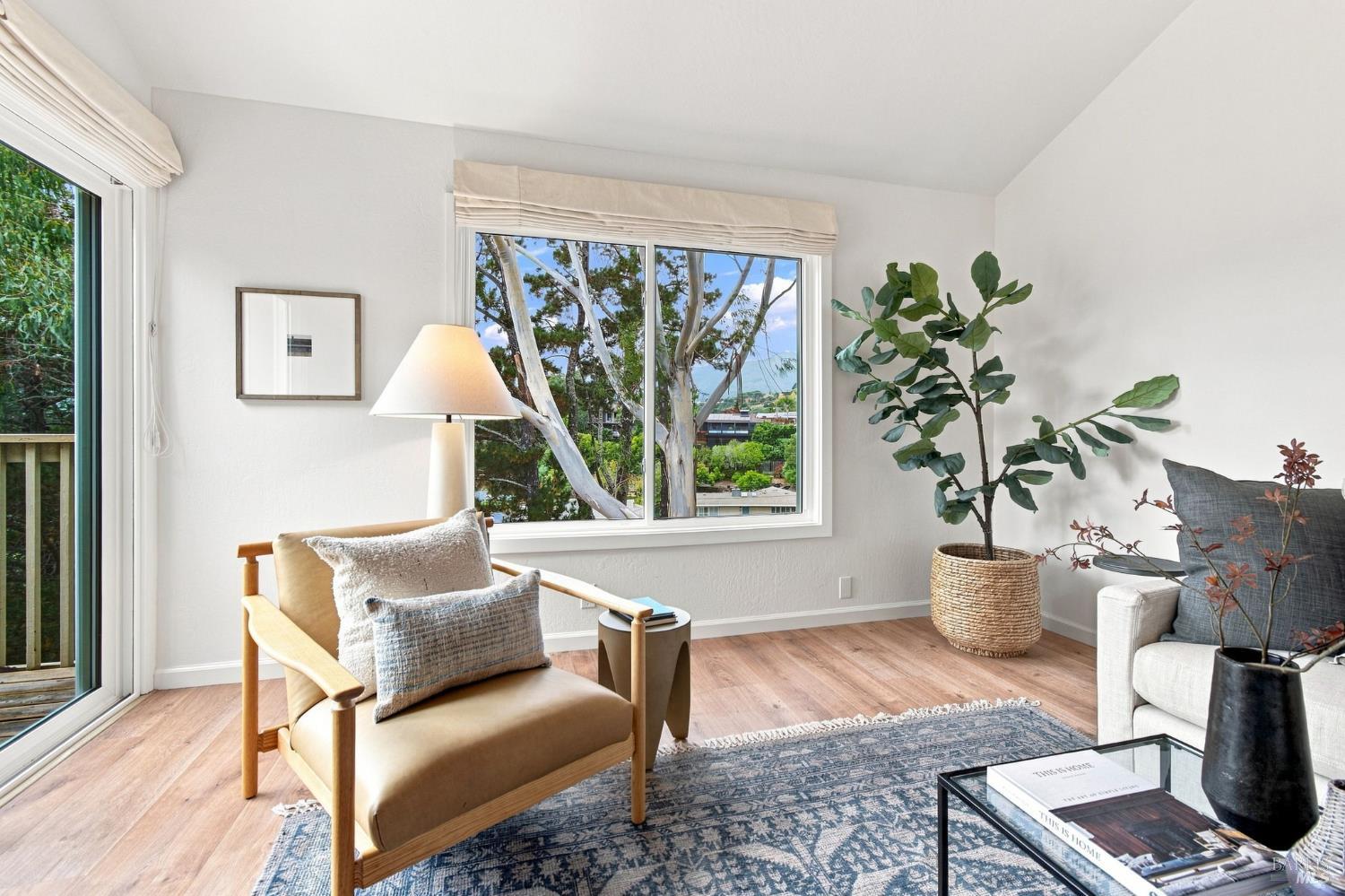 8 Chaucer Court Mill Valley CA 94941