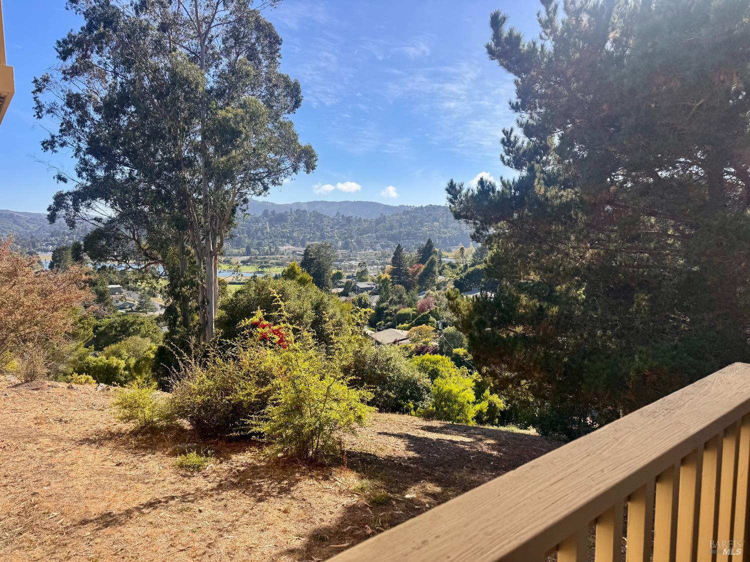 8 Chaucer Court Mill Valley CA 94941