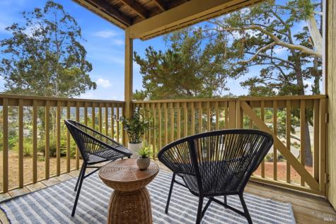 8 Chaucer Court Mill Valley CA 94941