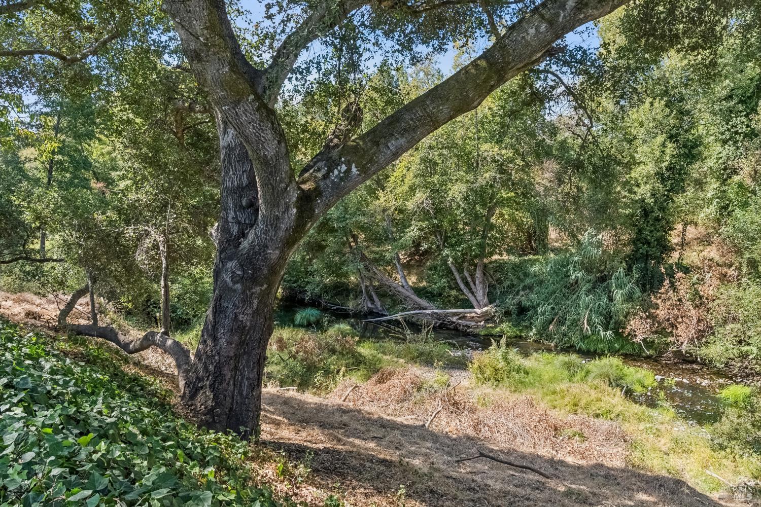 71 Creek Lane Sonoma CA 95476