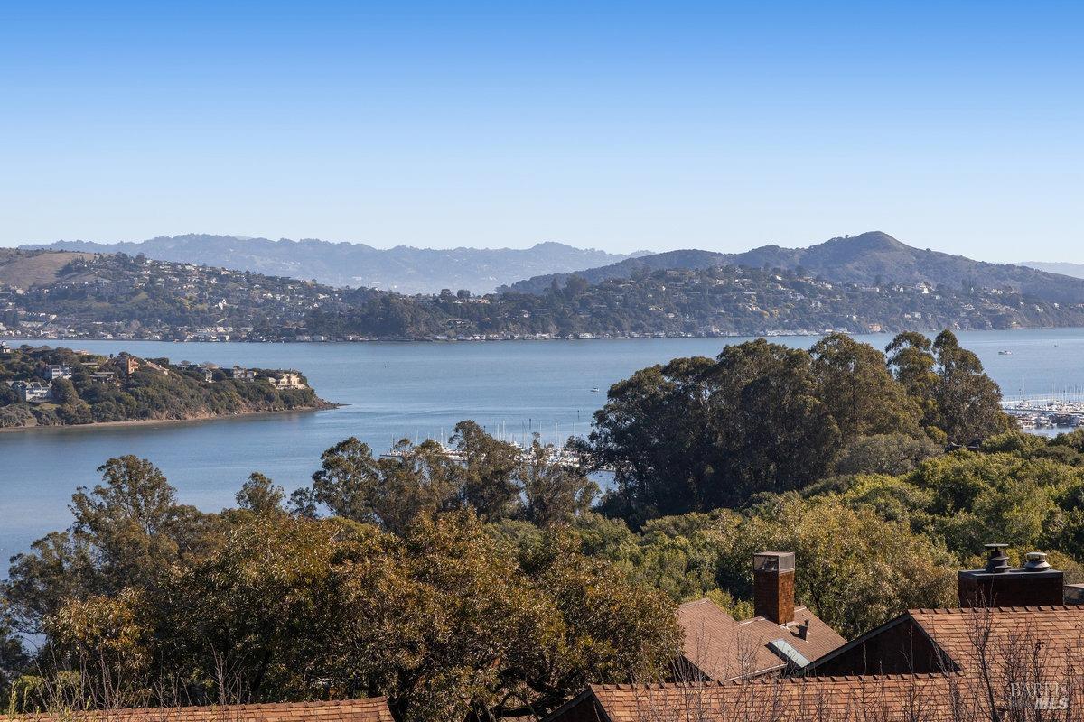 397 Headlands Court Sausalito CA 94965