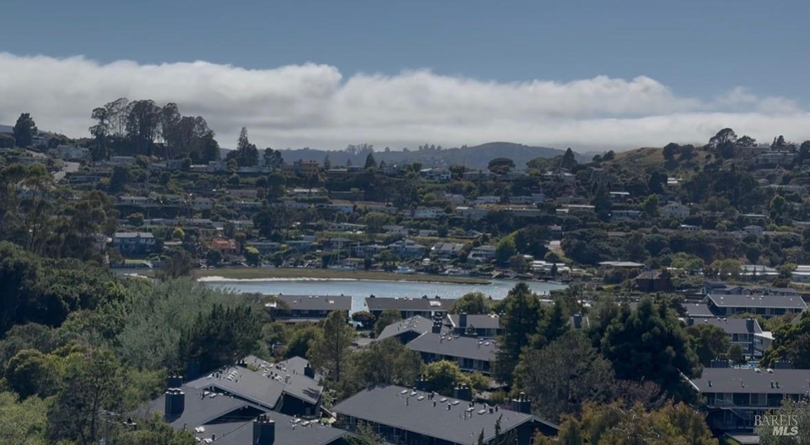 14 Janet Way Tiburon CA 94920