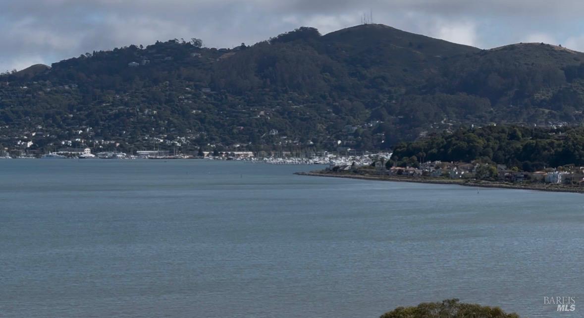 14 Janet Way Tiburon CA 94920