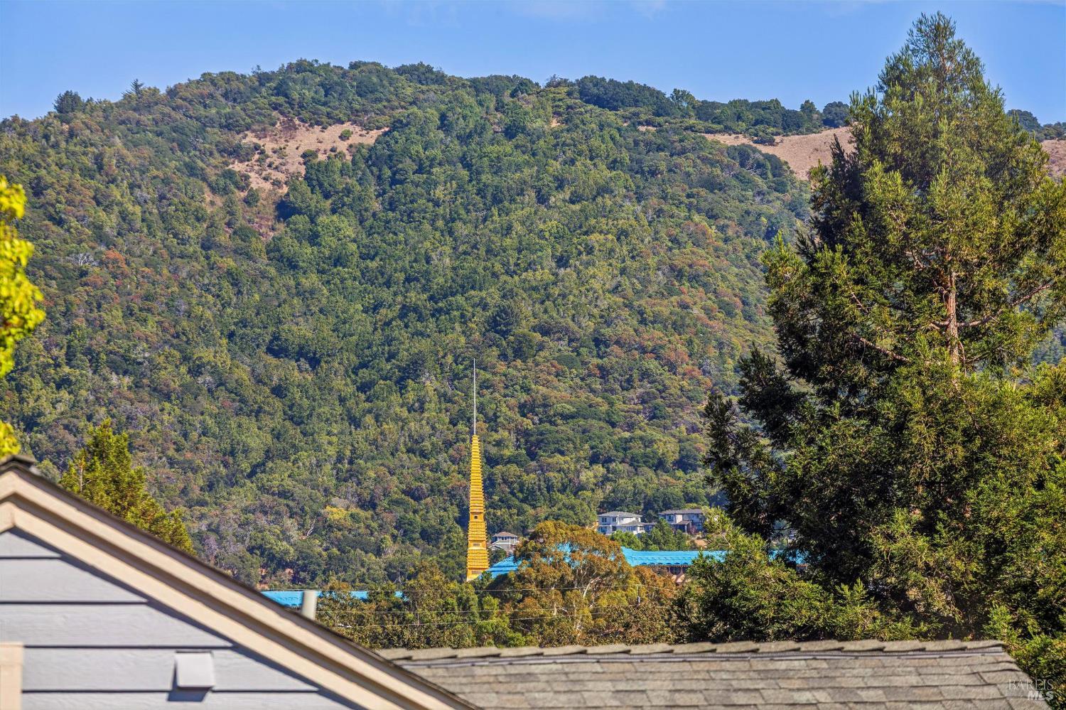 13 Summerhill Way San Rafael CA 94903