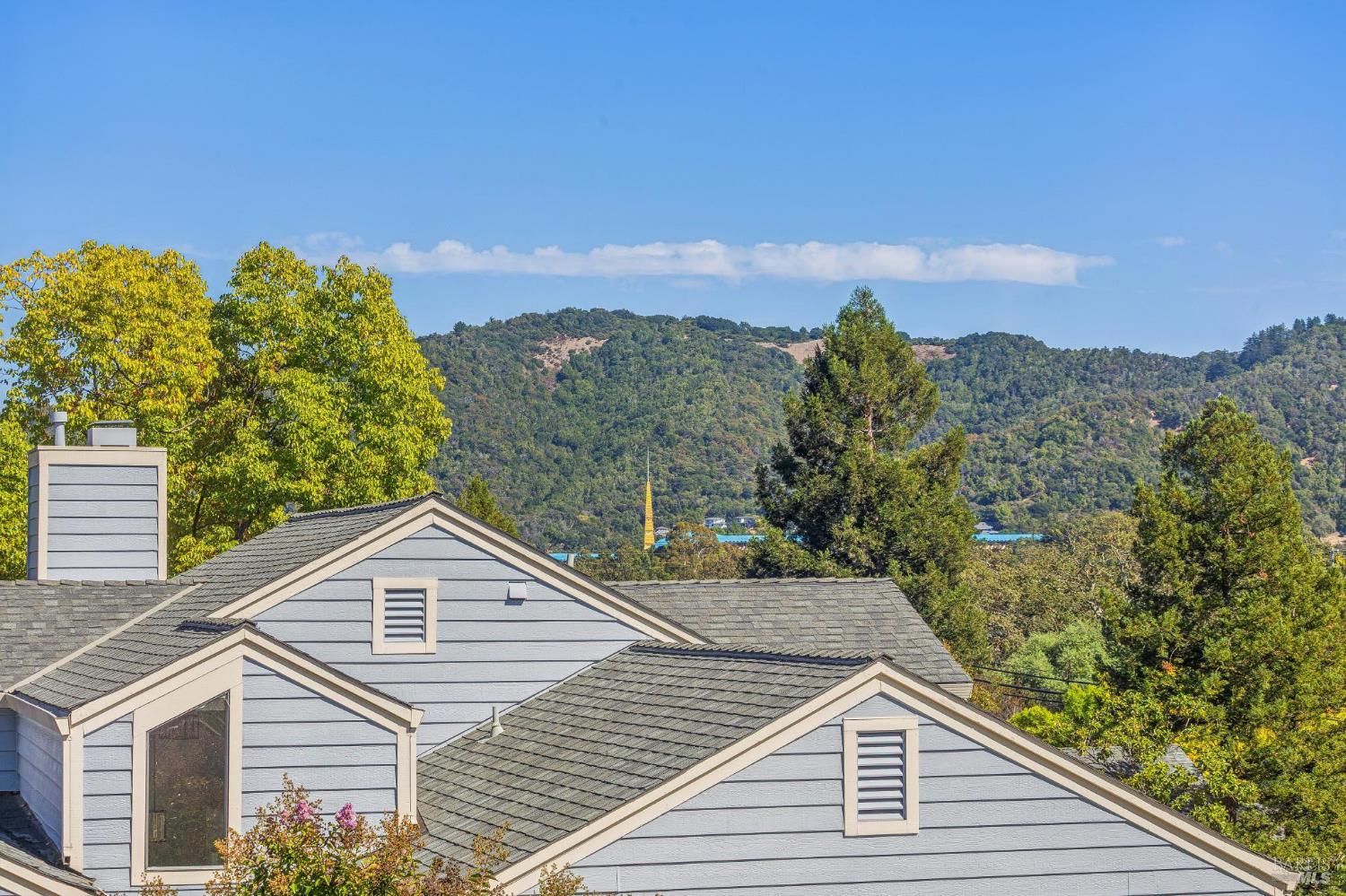 13 Summerhill Way San Rafael CA 94903
