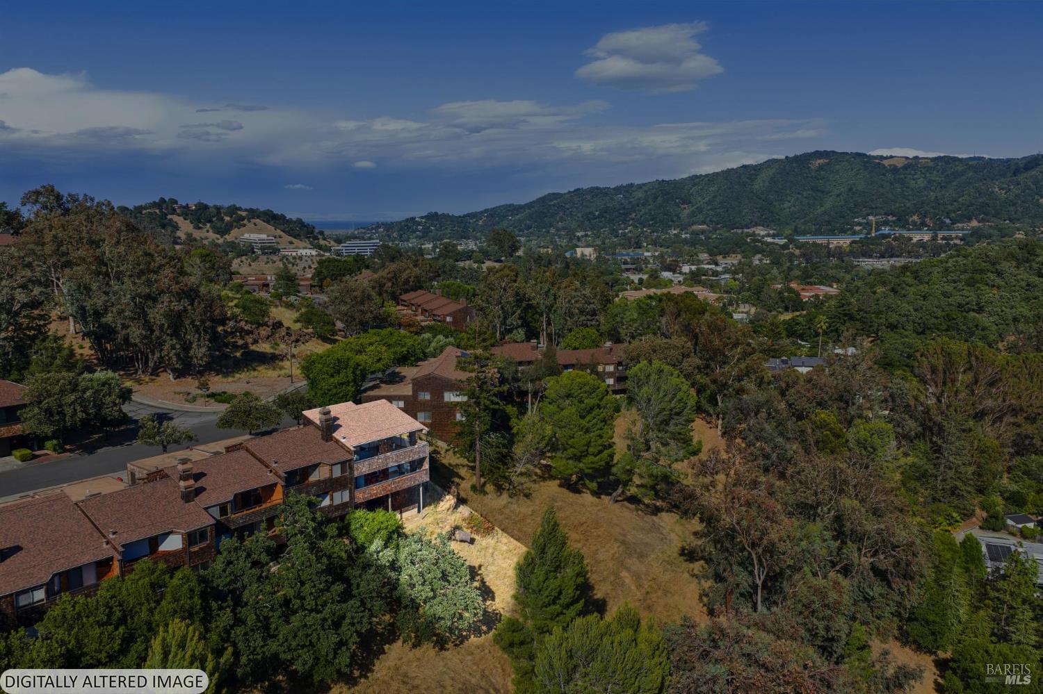 305 El Faisan Drive San Rafael CA 94903