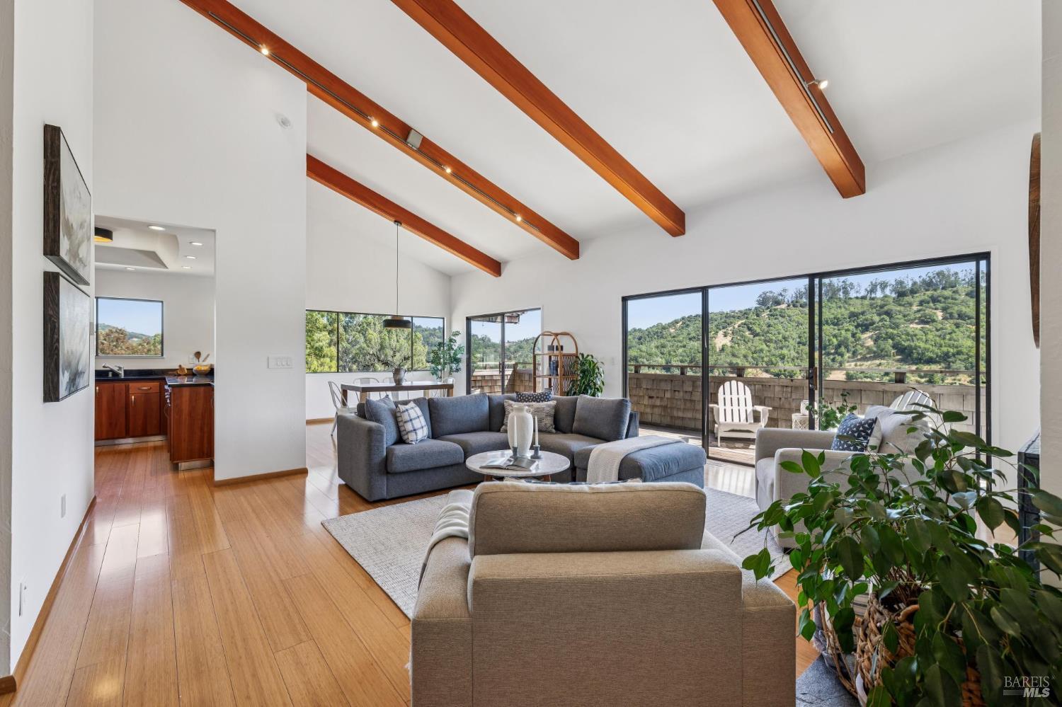 305 El Faisan Drive San Rafael CA 94903