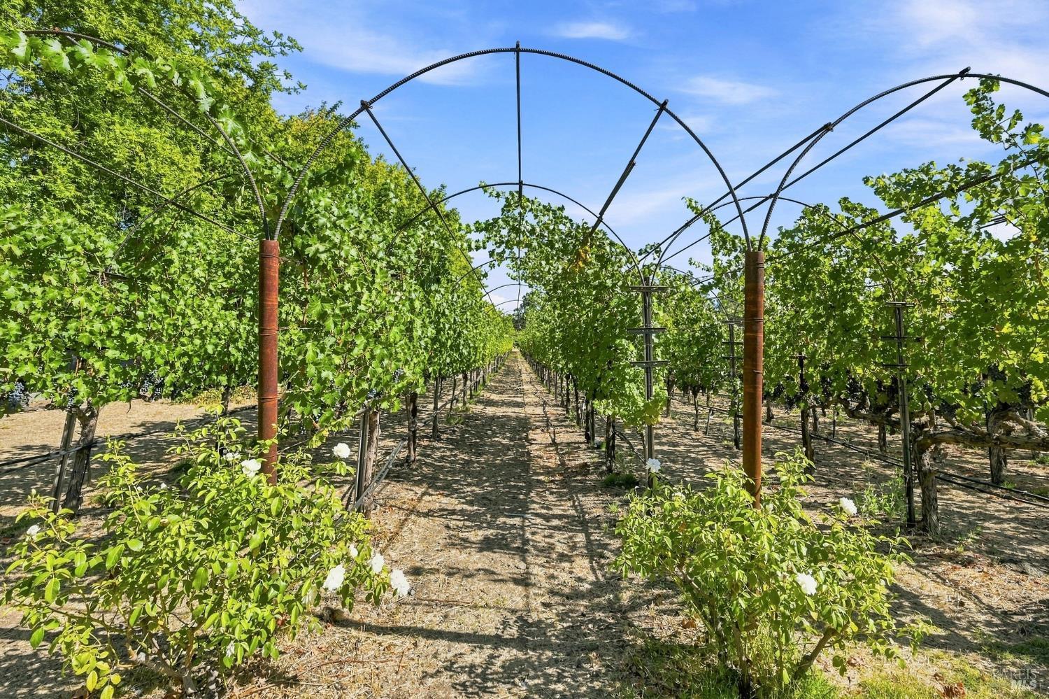 114 Vineyard Circle Yountville CA 94599