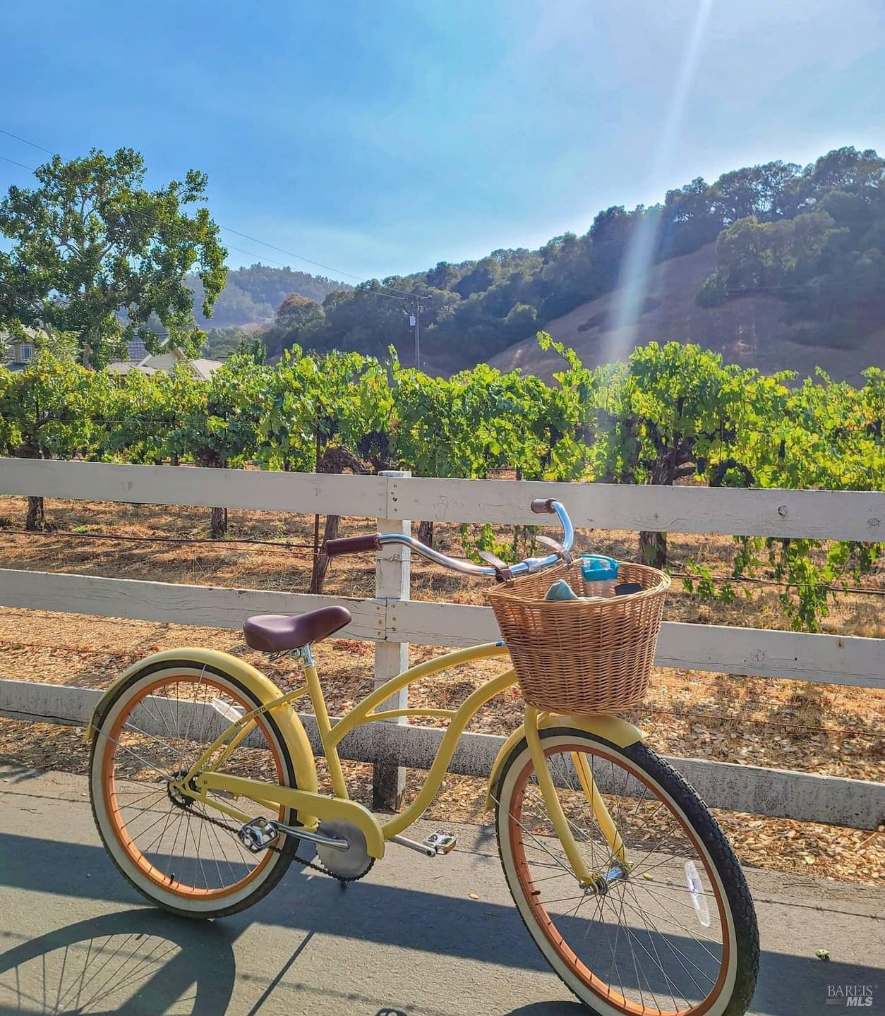 114 Vineyard Circle Yountville CA 94599