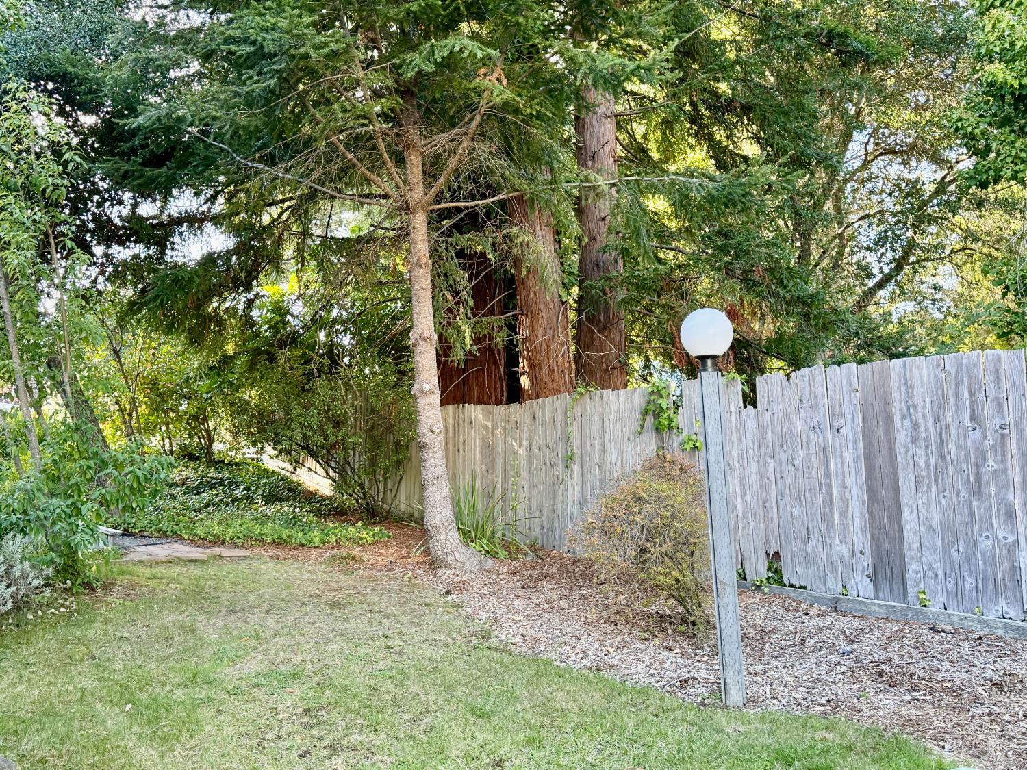105 Virginia Avenue Sebastopol CA 95472