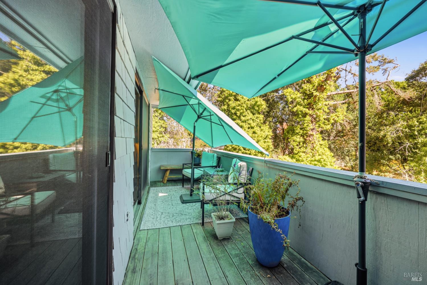 105 Virginia Avenue Sebastopol CA 95472