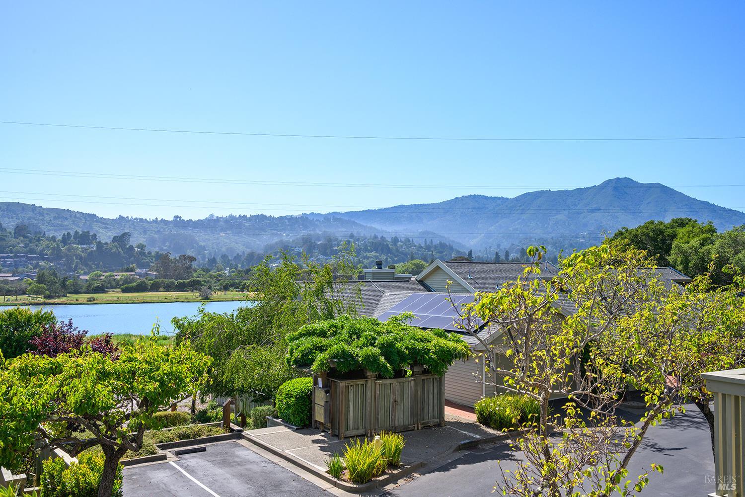 7 Eucalyptus Knoll Street Mill Valley CA 94941