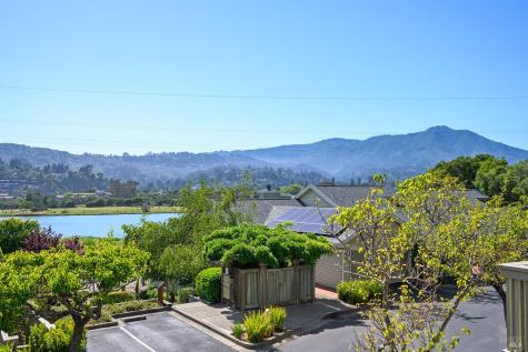 7 Eucalyptus Knoll Street Mill Valley CA 94941