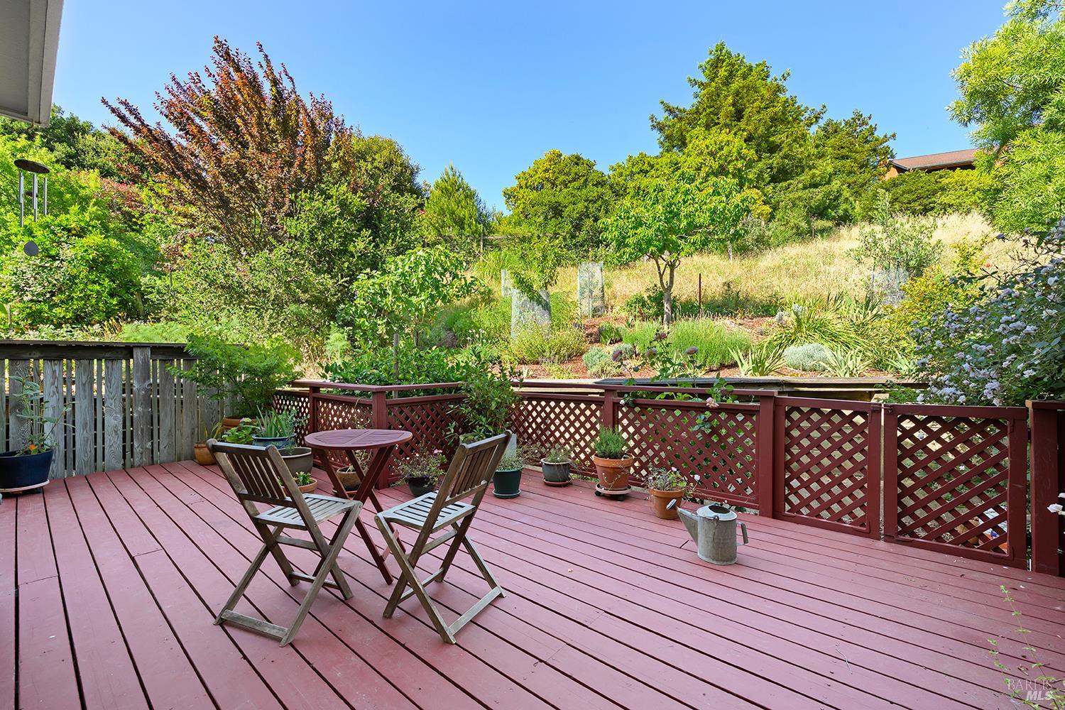 7 Eucalyptus Knoll Street Mill Valley CA 94941